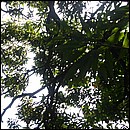 IMG_6691.JPG