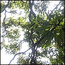 IMG_6692.JPG