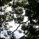 IMG_6693.JPG