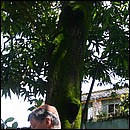 IMG_6697.JPG