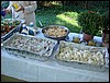 DSC06882.JPG