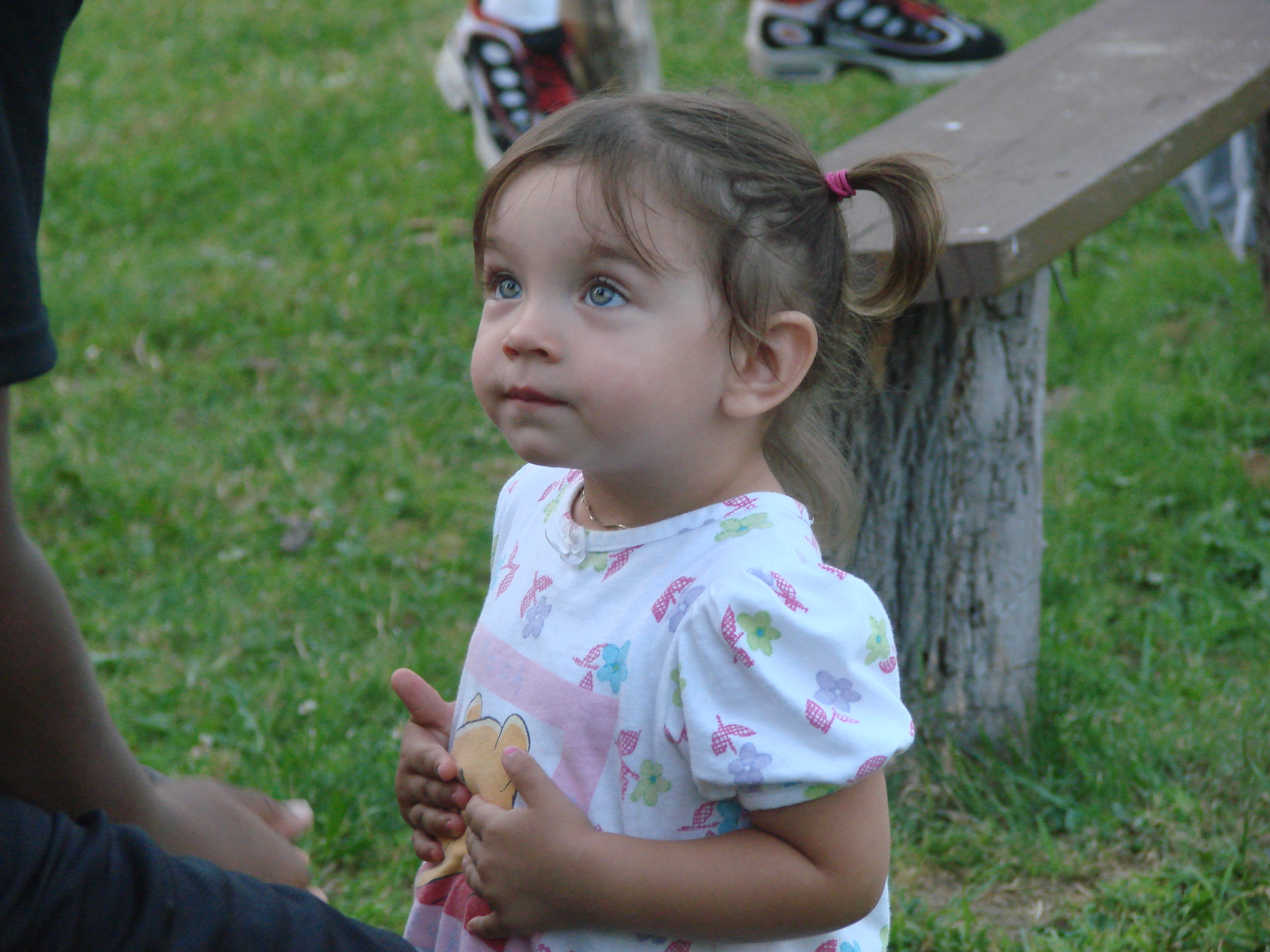 DSC08142.JPG
