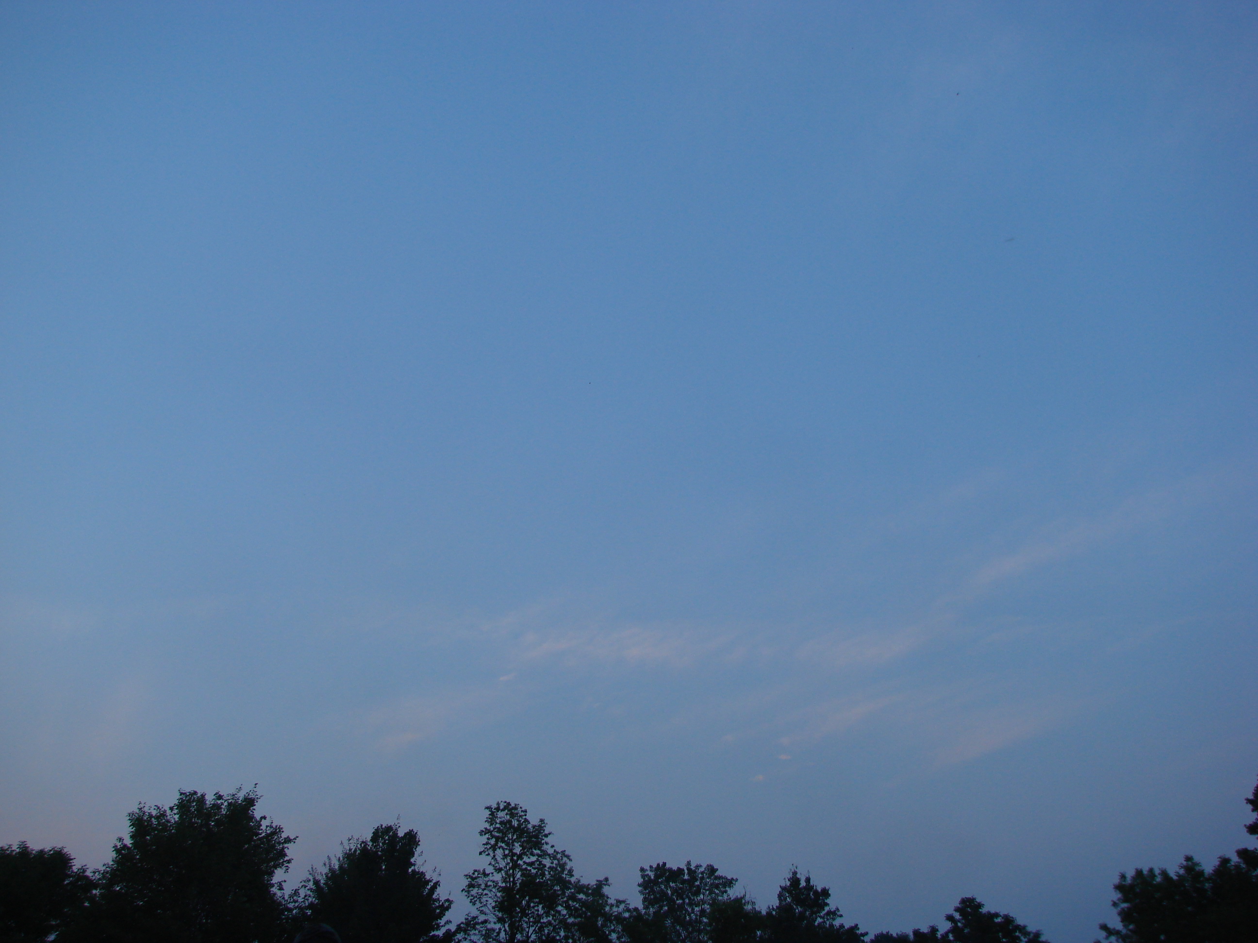 DSC08166.JPG