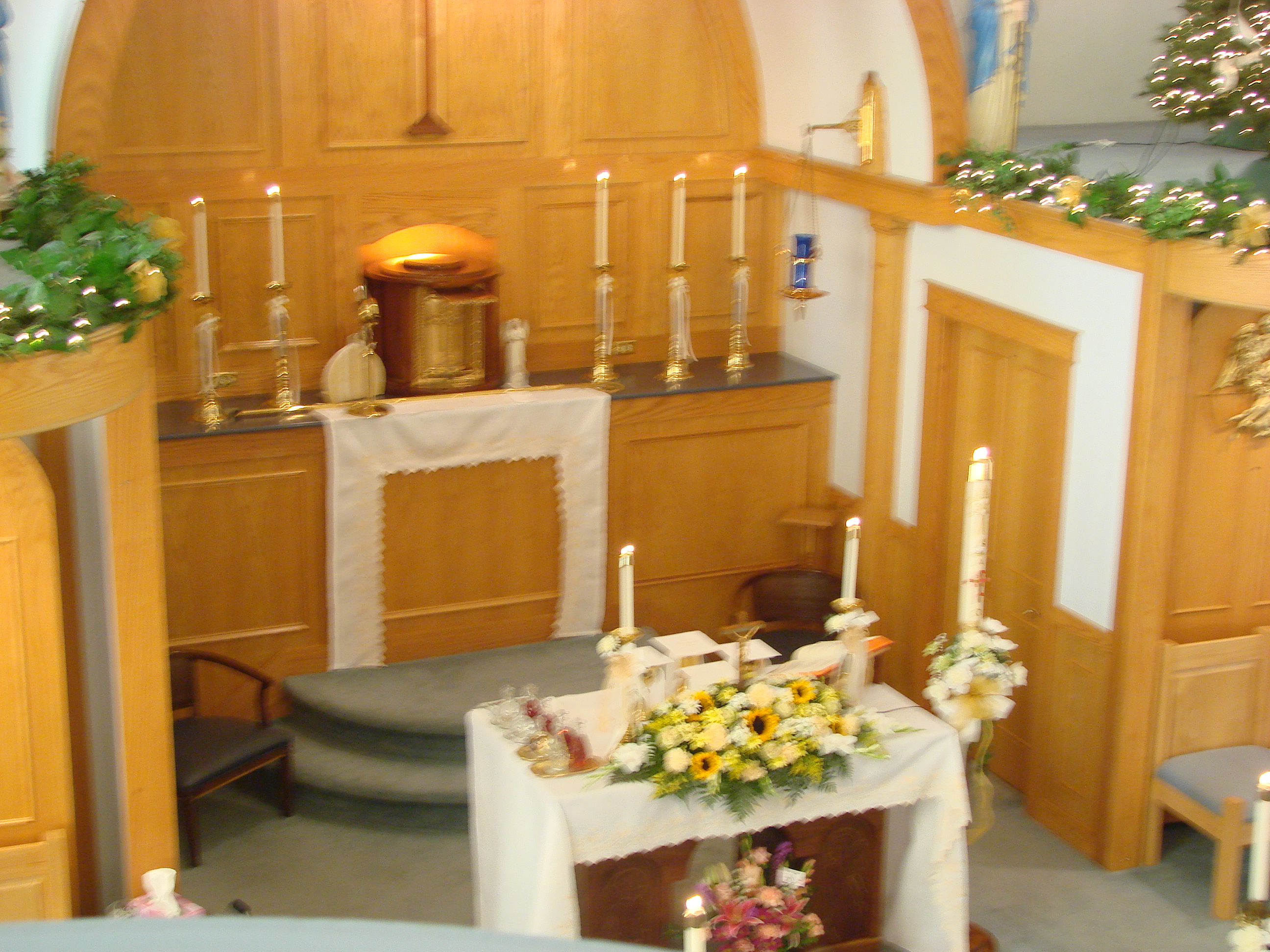 DSC08221.JPG