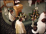 DSC08271.JPG