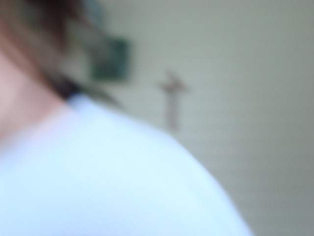 DSC04348.JPG
