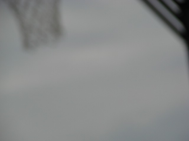 DSC04383.JPG