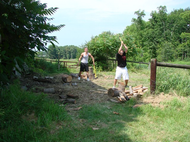 DSC04575.JPG