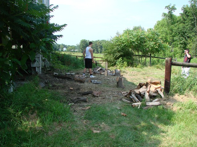 DSC04582.JPG