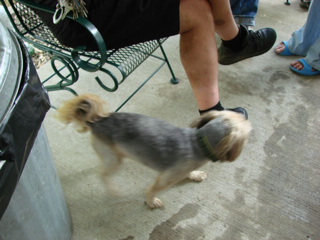 DSC04639.JPG