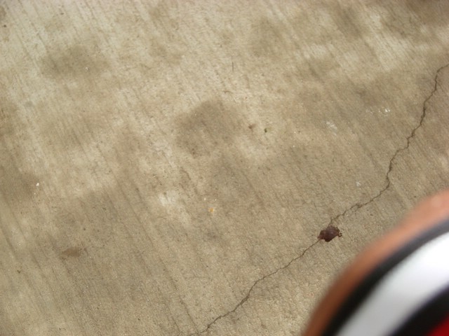 DSC04656.JPG