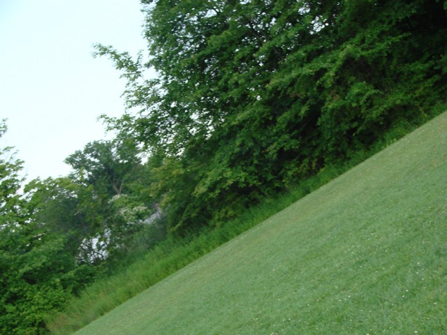 DSC04721.JPG