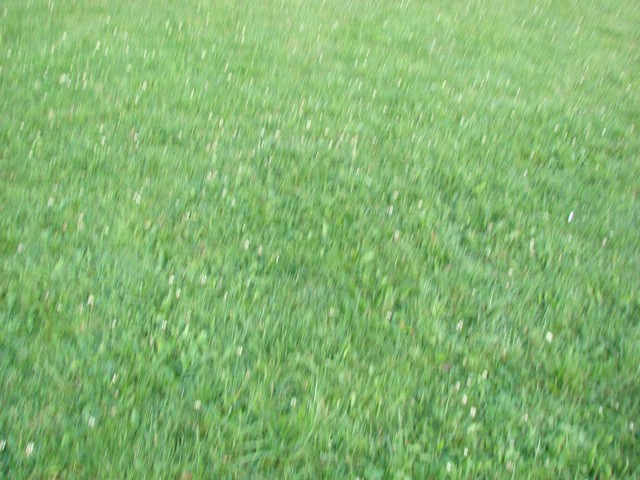 DSC04726.JPG