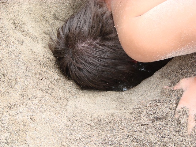 DSC04795.JPG