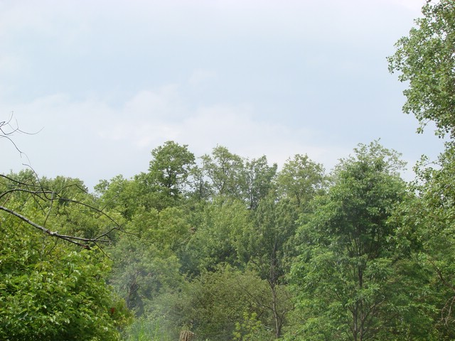 DSC04920.JPG