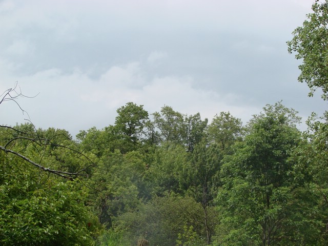 DSC04921.JPG