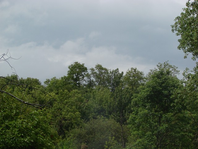 DSC04922.JPG