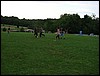 DSC04427.JPG