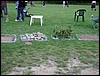 DSC04525.JPG