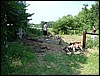 DSC04582.JPG