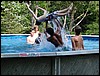 DSC04585.JPG