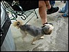 DSC04639.JPG