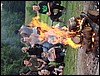 DSC04736.JPG