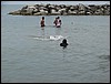 DSC04750.JPG