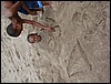 DSC04763.JPG