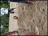 DSC04803.JPG