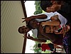 DSC04860.JPG
