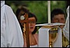 DSC_0133.JPG