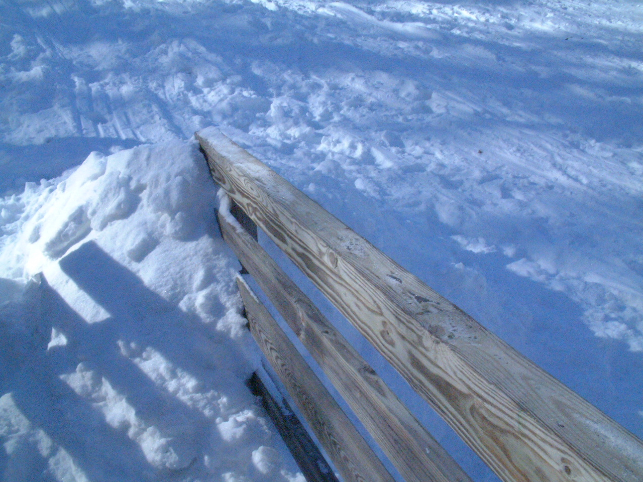 DSCF0226.JPG