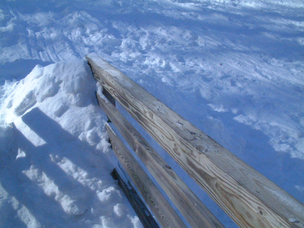 DSCF0227.JPG