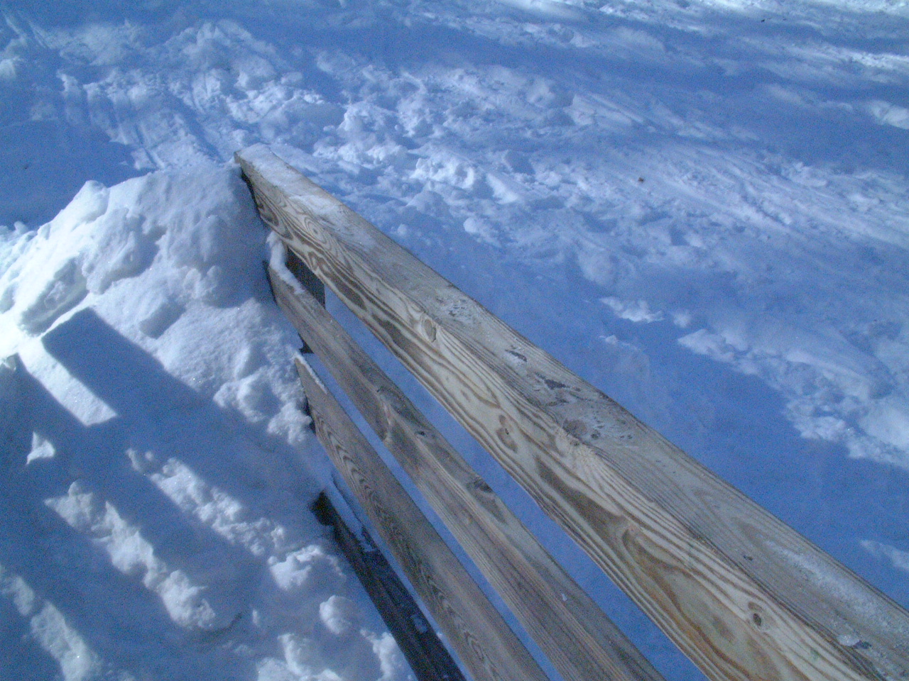 DSCF0228.JPG