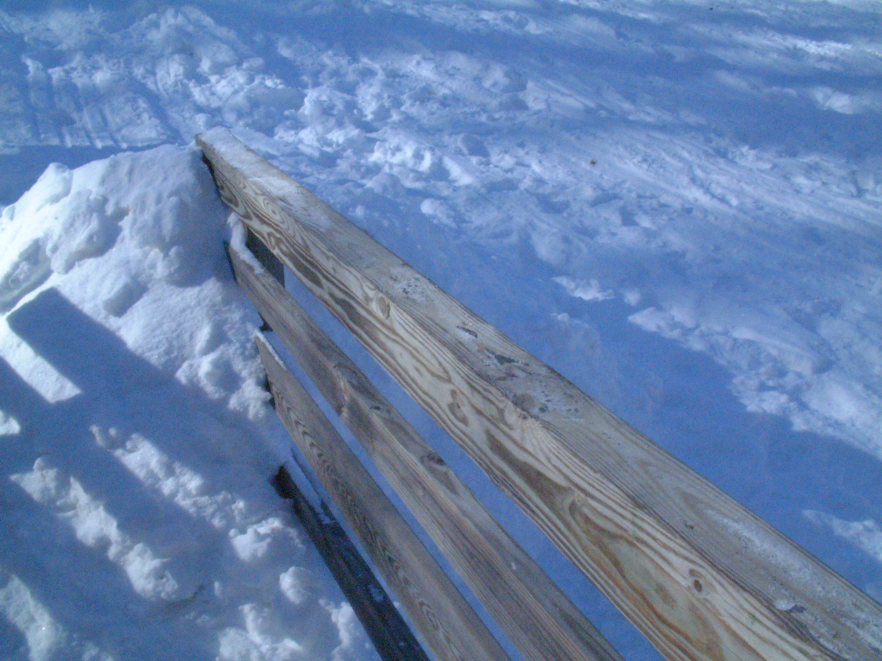 DSCF0229.JPG