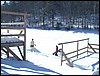 DSCF0242.JPG