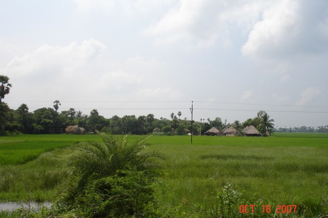 India 10-2007 048.jpg