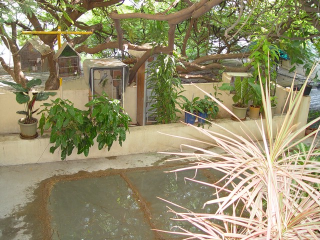 India 10-2007 062.jpg
