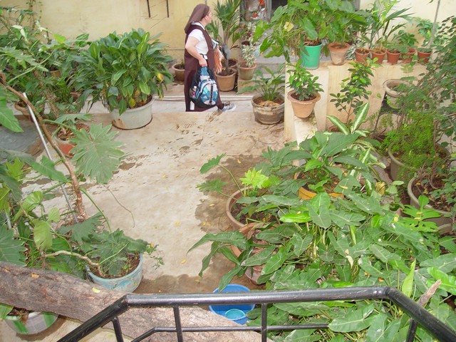India 10-2007 063.jpg