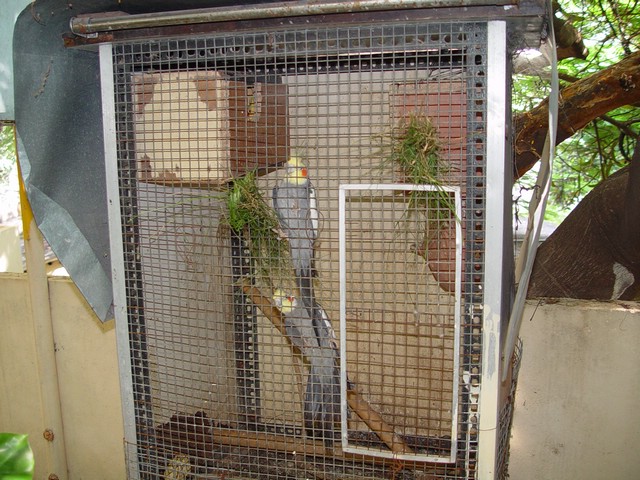 India 10-2007 064.jpg