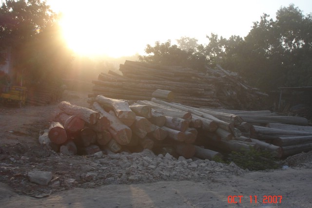 India 10-2007 150.jpg