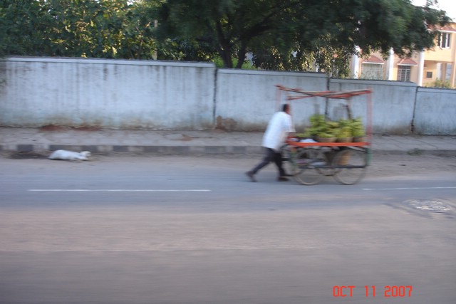 India 10-2007 154.jpg