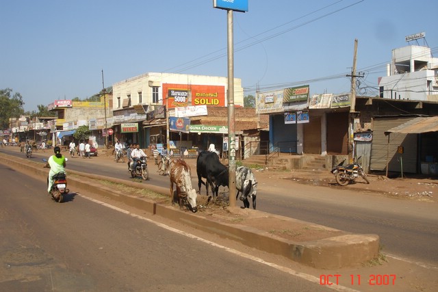 India 10-2007 168.jpg