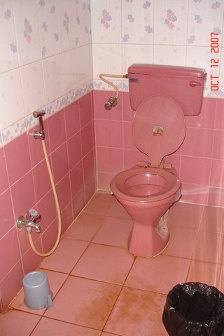 India 10-2007 230.jpg