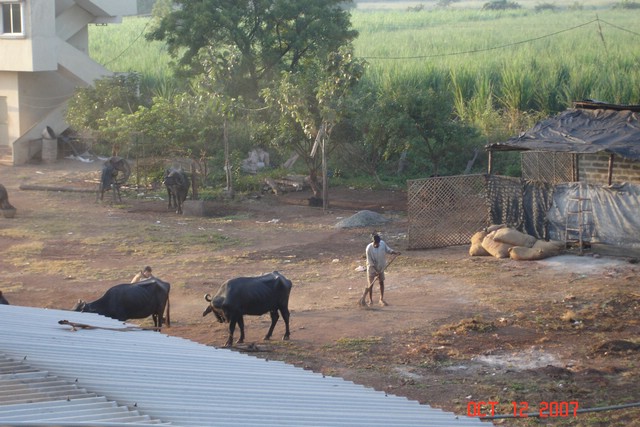 India 10-2007 236.jpg