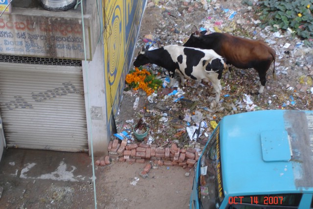 India 10-2007 320.jpg