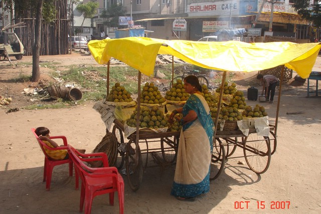 India 10-2007 376.jpg