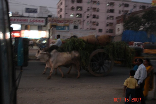 India 10-2007 403.jpg
