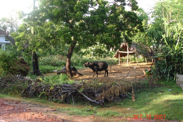 India 10-2007 466.jpg